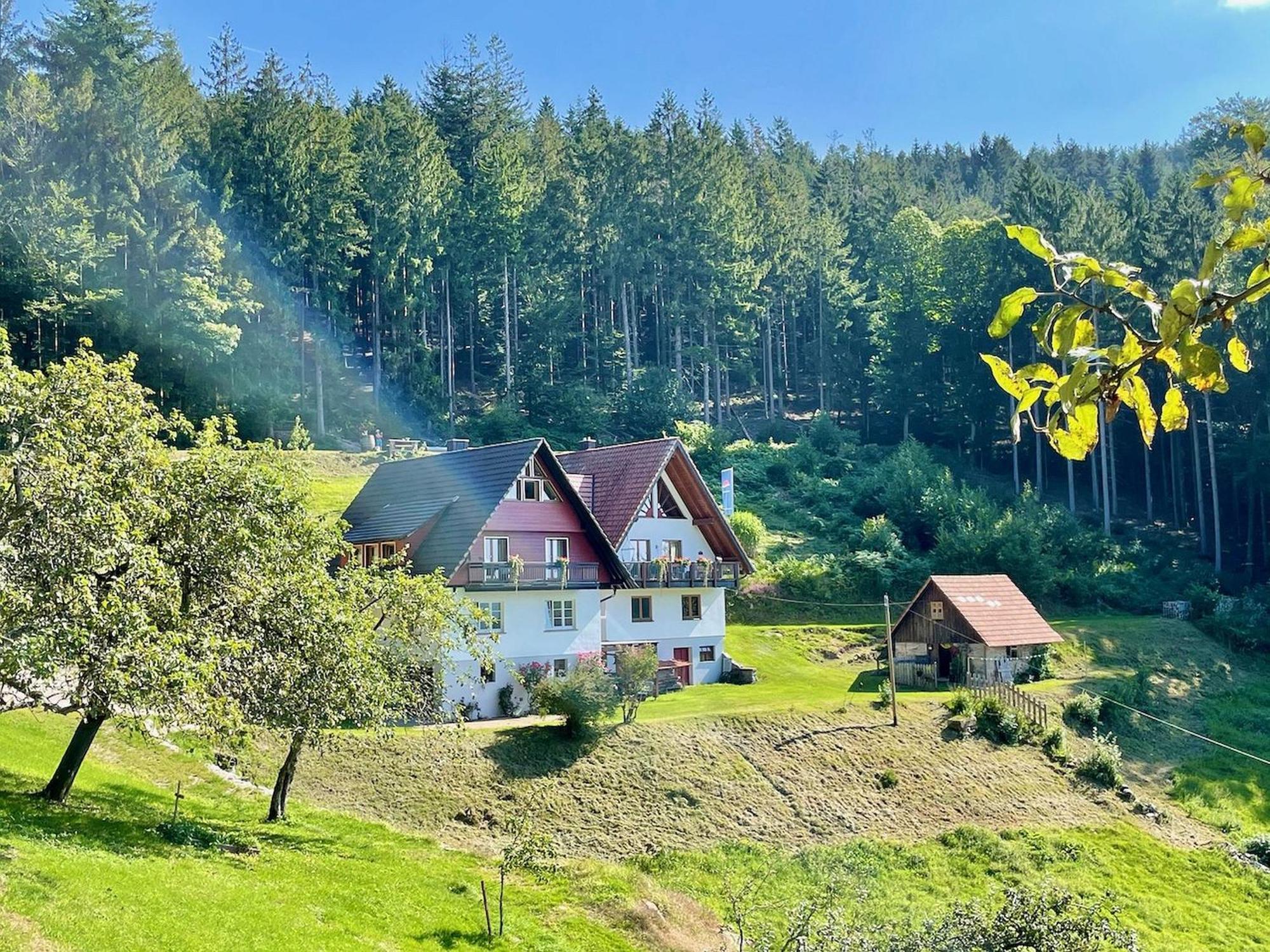 Ferienwohnung Deine Rauszeit Seebach Buitenkant foto